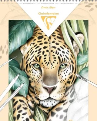 Μπλοκ ζωγραφικής Odelia - Animals 