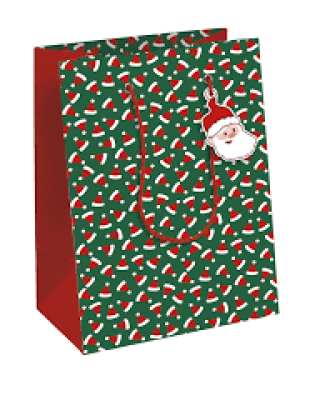 Σακούλα δώρου 21,5*10,25εκ. - Noel