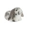 Lop Eared Rabbit- Living Nature (δώρο η θήκη μεταφοράς)