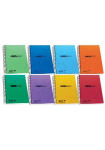 Τετράδιο σπιράλ Skag Basic 17x25 - 3 θεμάτων