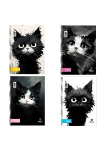 Τετράδιο σπιράλ Kittie 2θεματων 