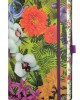 ΣΗΜΕΙΩΜΑΤΑΡΙΟ Castelli Milano Collection Eden Collection