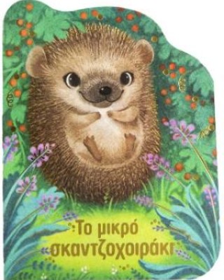 Το μικρό σκαντζοχοιράκι